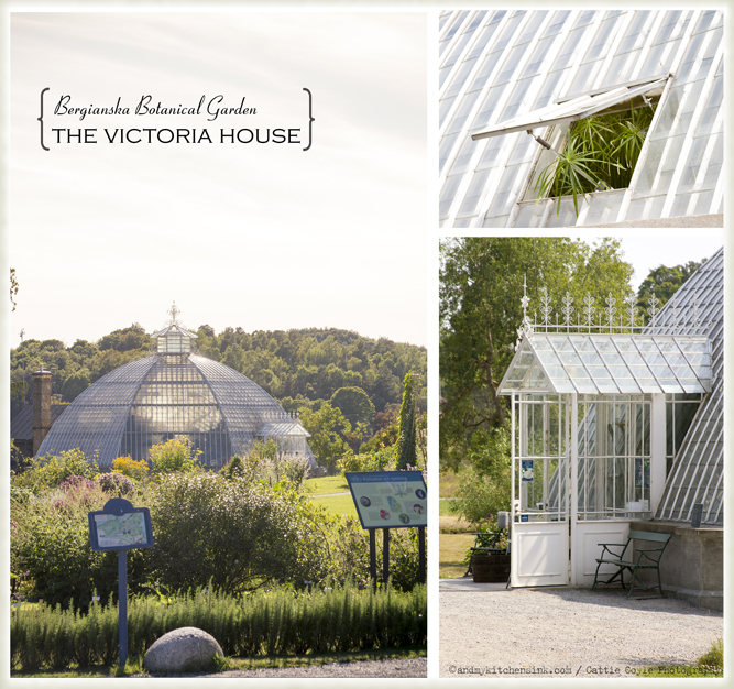 Bergianska botanical garden - the Victoria house
