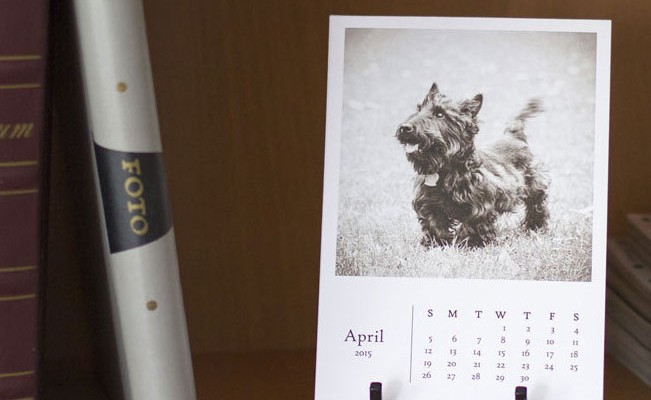 The 2014 Holiday Card Collection and 2015 Scottish Terrier Monthly Calendar