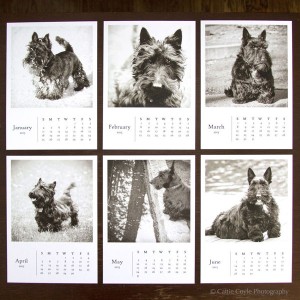Scottie-dog-calendar-Jan-June